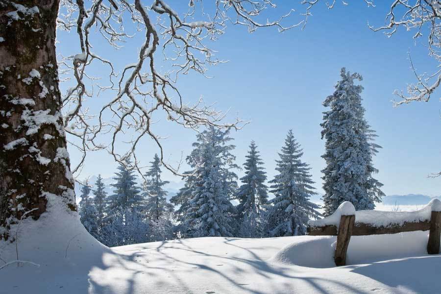 2026世界杯下注-李娜担任某网球赛事形象大使推广网球运动